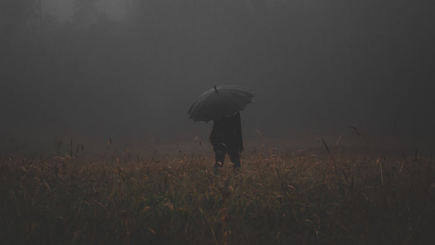 The Sweetest Words for the Deepest Wounds